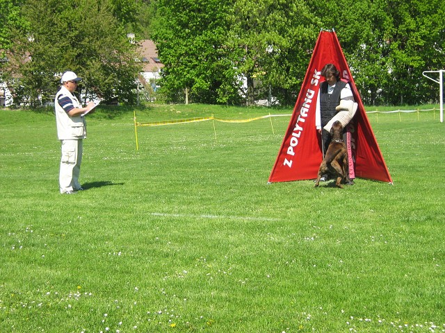 www.atibox.net * www.euroboxer.eu * www.boxergenealogia.eu